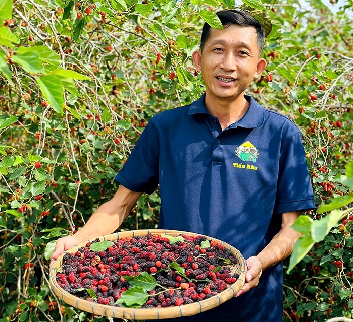 Khởi nghiệp từ trái dâu tằm 