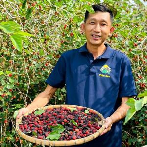 Khởi nghiệp từ trái dâu tằm 