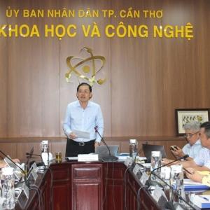 Nghiên cứu thành công giải pháp phòng trị bệnh xơ đen, thối thân xì mủ trên cây mít Hậu Giang