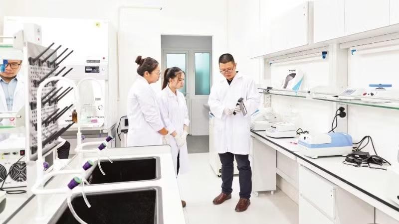 Phát triển hệ sinh thái đổi mới sáng tạo nhằm thúc đẩy phát triển nhân lực khoa học và công nghệ ở Việt Nam